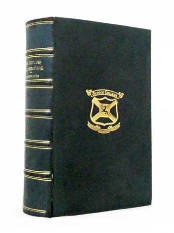 The Outline of Literature