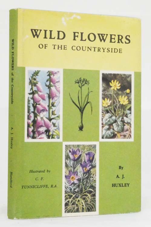Wild Flowers Of The Countryside