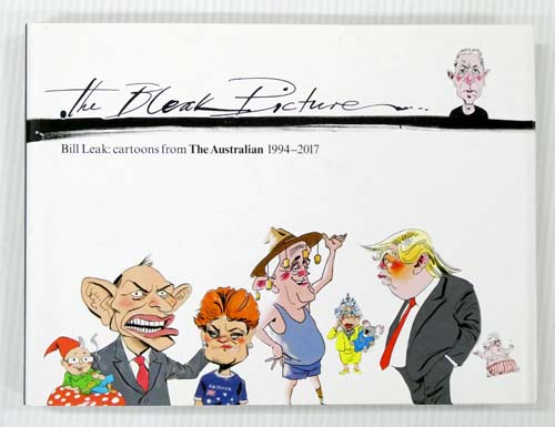 Image for The Bleak Picture The Bleak Picture