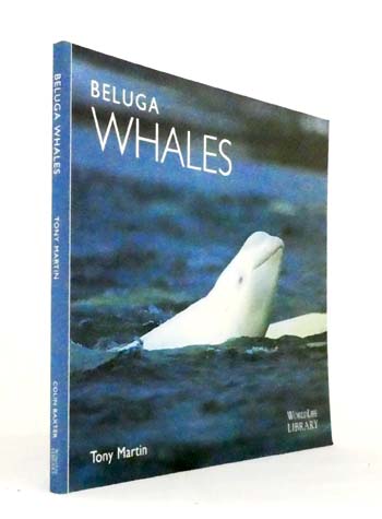 Beluga Whales