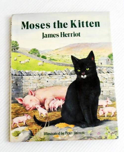 Moses the Kitten
