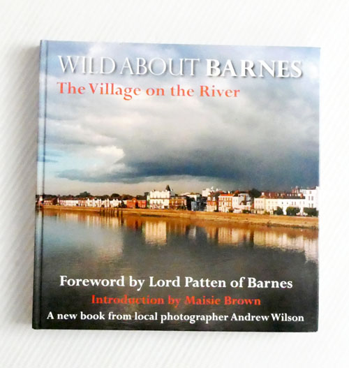 Wild About Barnes : The Village on the River