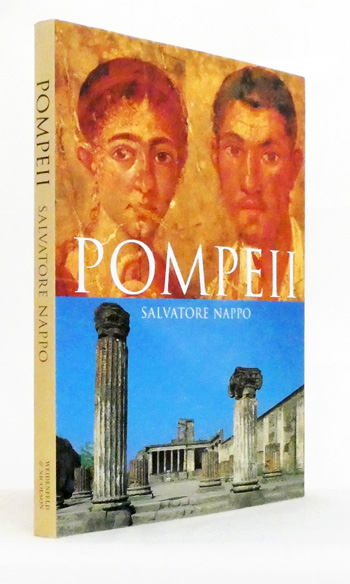 Pompeii : A Guide to the Lost City