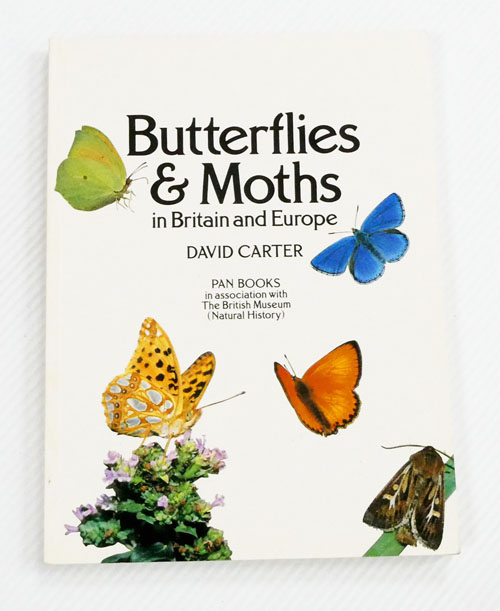 Butterflies and Moths in Britain and Europe