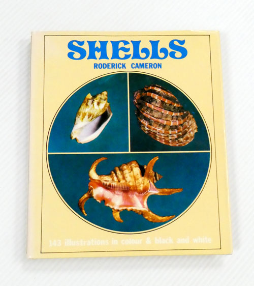 Shells