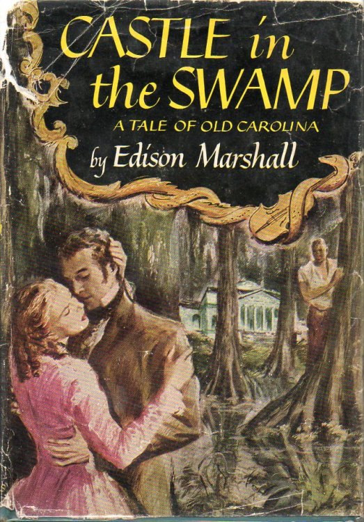 Castle in the Swamp A Tale of Old Carolina