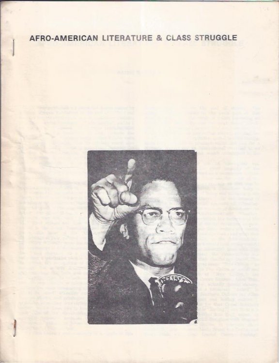 Afro-American Literature and Class Struggle