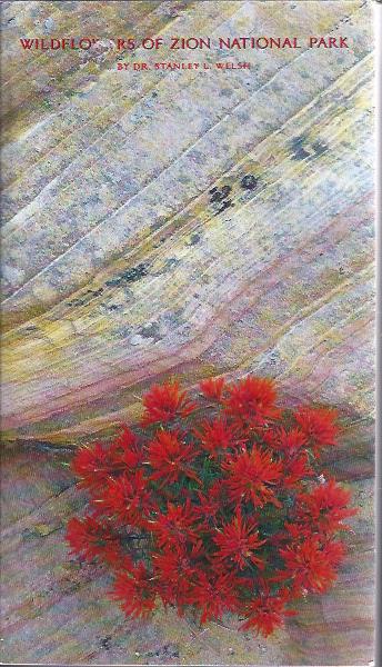 Wildflowers of Zion National Park