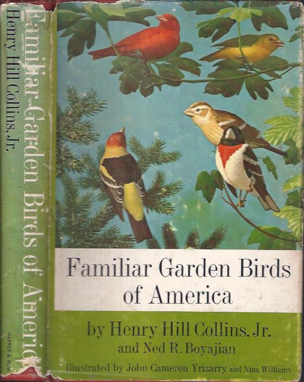 Familiar Garden Birds of America
