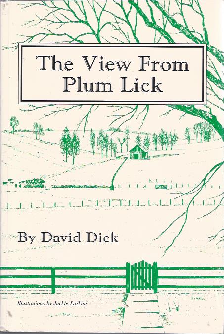 The View from Plum Lick