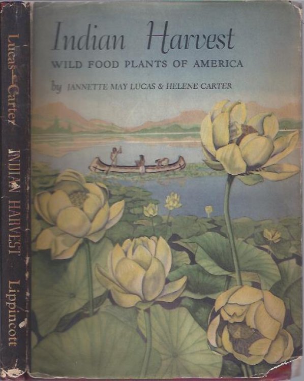 Indian Harvest: Wild Food Plants of America