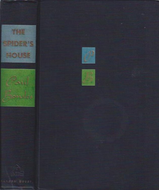 The Spider's House