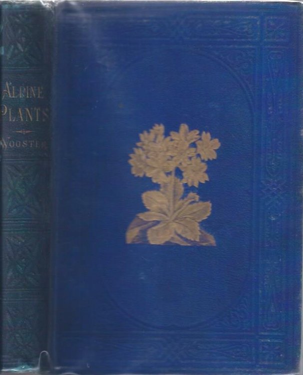 Alpine Plants: Figures and Descriptions of some of the Most Striking and Beautiful of the Alpine Flowers