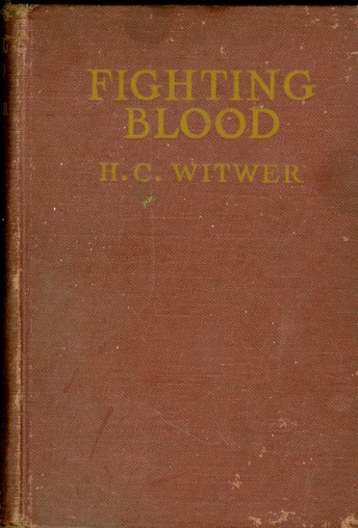 Fighting Blood
