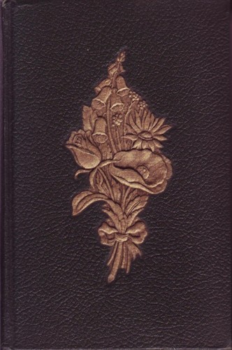 Favorite Flowers in Color