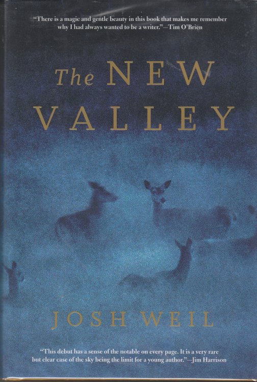 The New Valley