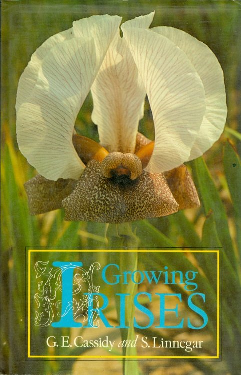 Growing Irises