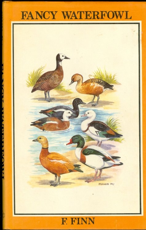 Fancy Waterfowl