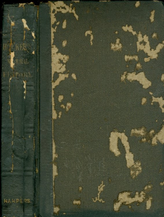 Natural History For the Use of Schools and Families