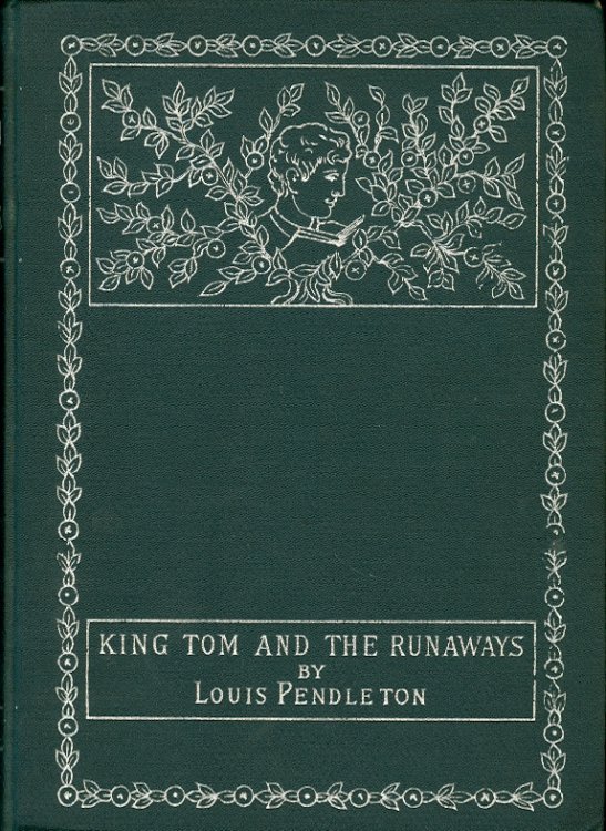 King Tom and the Runaways The Story of What Befell Two Boys in a Georgia Swamp