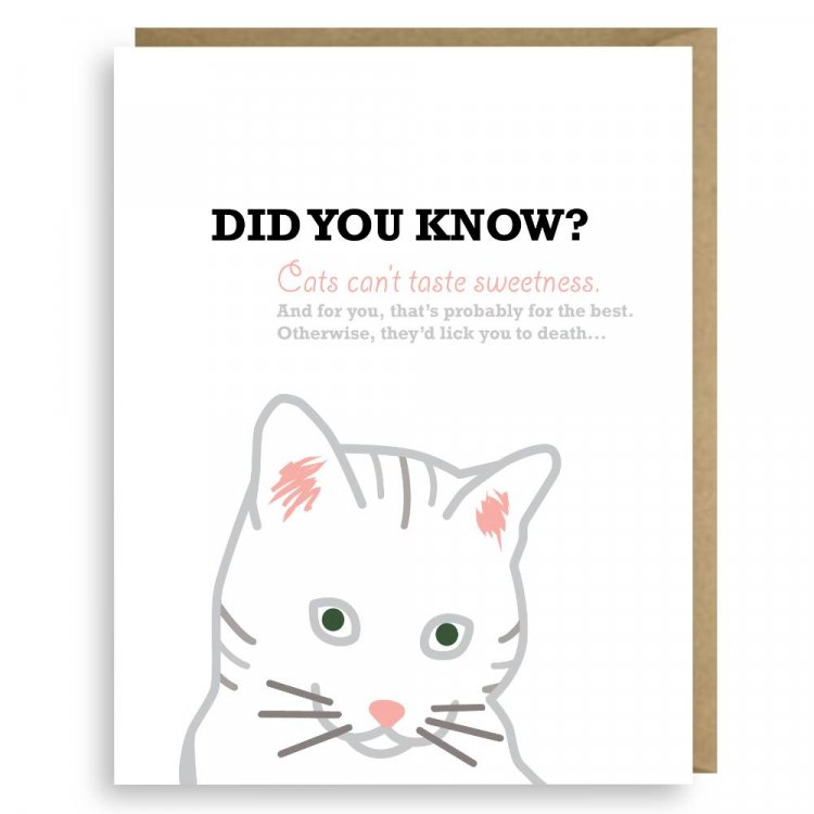 SWEETNESS CARD