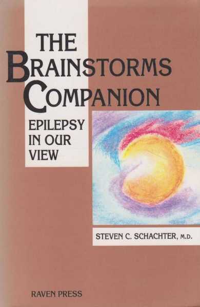 The Brainstormers Companion - Epilepsy In Our View