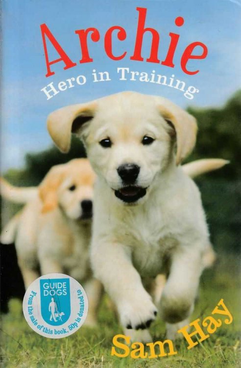 Archie Hero In Training