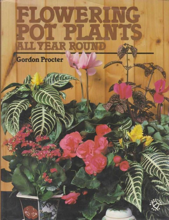 Flowering Pot Plants: All Year Round