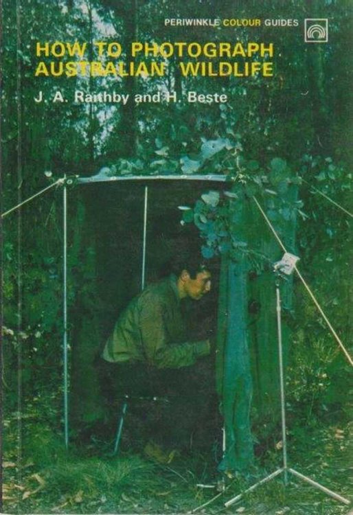 How To Photograph Australian Wildlife