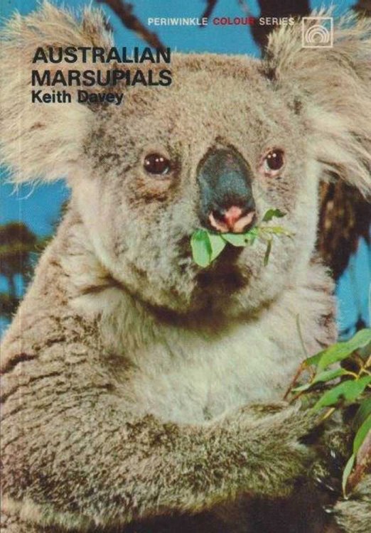 Australian Marsupials