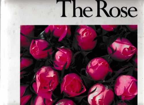 The Rose