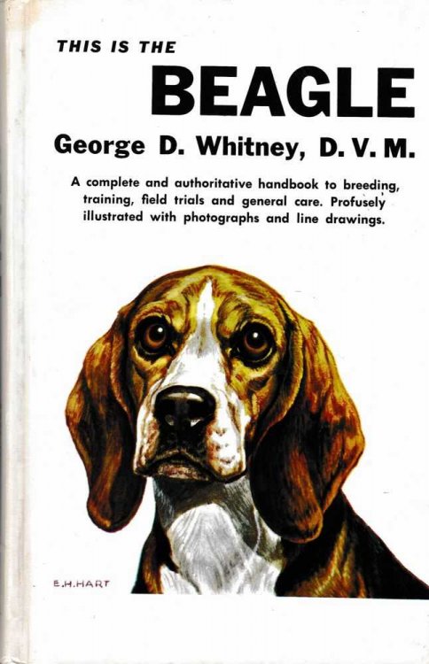 This is the Beagle