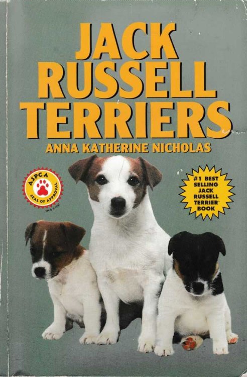 Jack Russell Terriers