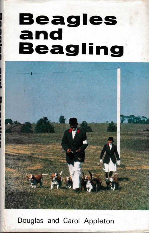 Beagles and Beagling