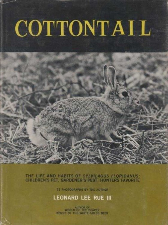 Cottontail: The life and habits of Sylvilagus Floridanus: Children's Pet, Gardener's Pest, Hunter's Favorite