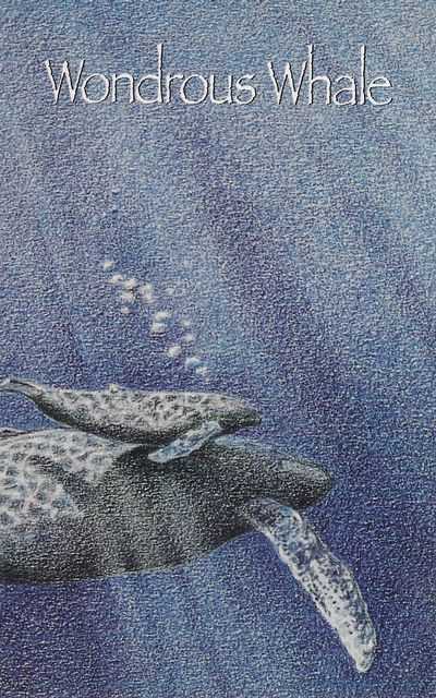Wondrous Whale