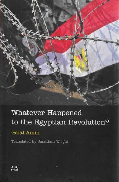 Whatever Happened To The Egyptian Revolution