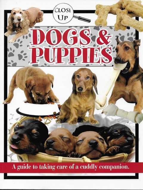Close Up: Dogs & Puppies - A Guide to Taking Care of a Cuddly Companion