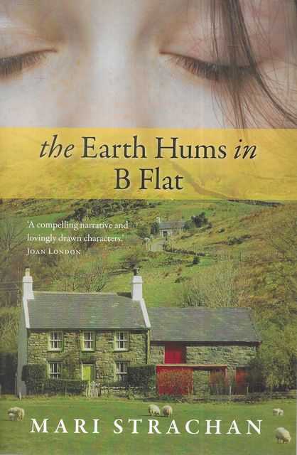 The Earth hums in B Flat