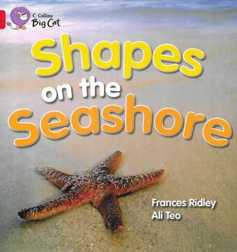 Shapes on the Seashore