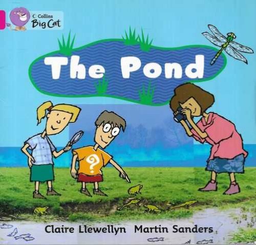 The Pond