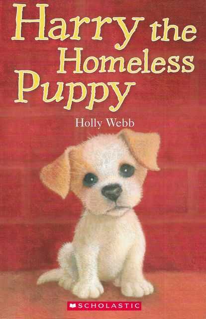 Harry the Homeless Puppy
