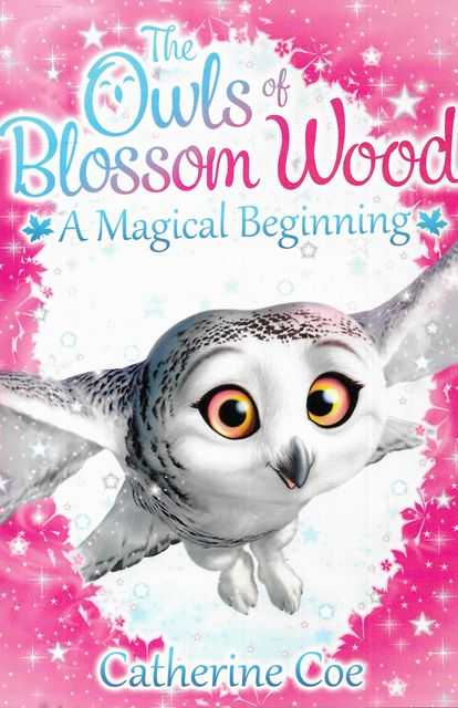 The Owls of Blossom A Magical Beginning