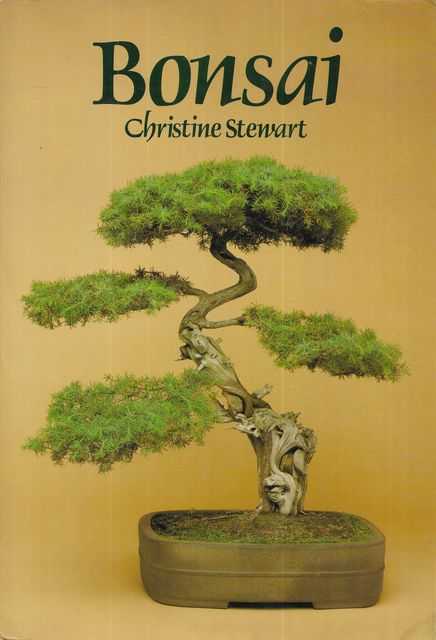 Bonsai