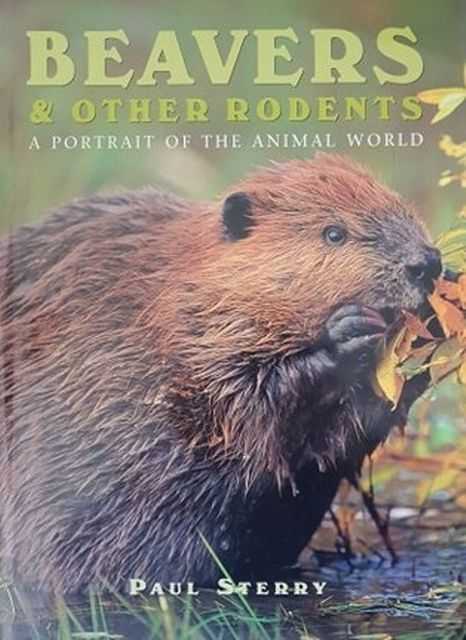 Beavers & Other Rodents: A portrait of the Animal World