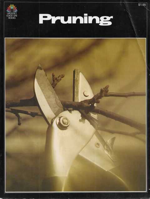 Pruning