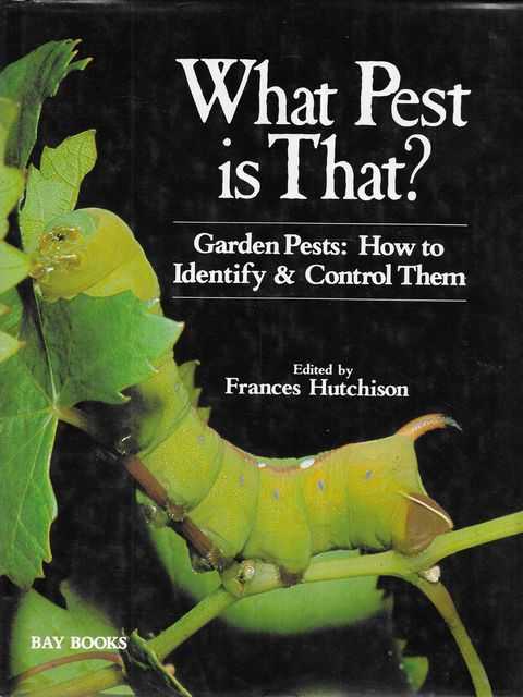 What Pest Is That Garden Pests: How To Identify & Control Them