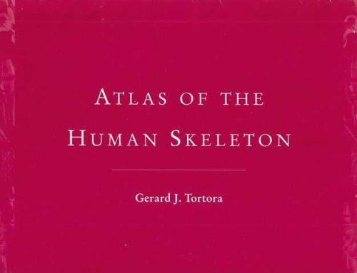 Atlas of the Human Skeleton
