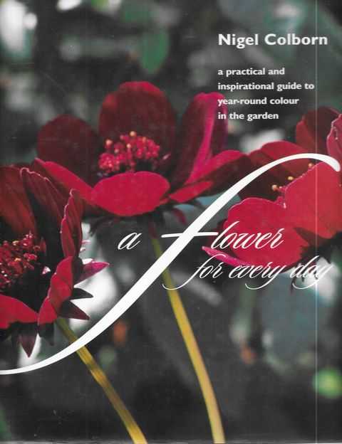 A Flower for Every Day : A Practical and Inspirational Guide to Year Round Colour in the Garden