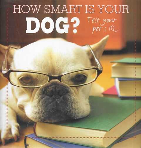 How Smart is Your Dog Test Your Pet's IQ